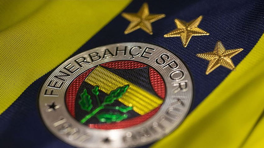 Director técnico temporal anunciado en Fenerbahçe, fenerbahce 2022 fondo de pantalla
