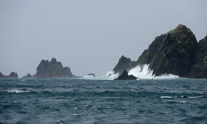 Pulau Buldir 'pengubah hidup' bagi peneliti burung laut, pulau attu Wallpaper HD