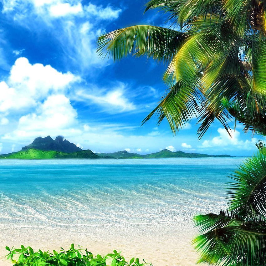 Ipad Mini Summer Tropical Beach, ipad mini tumblr Sfondo del telefono HD