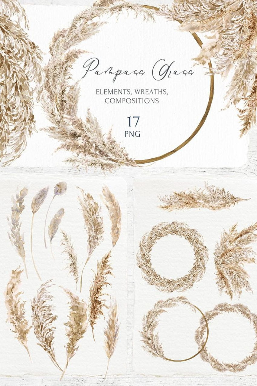 Pampas Grass Clipart Set. Boho Watercolor Wreaths Bohemian HD phone wallpaper