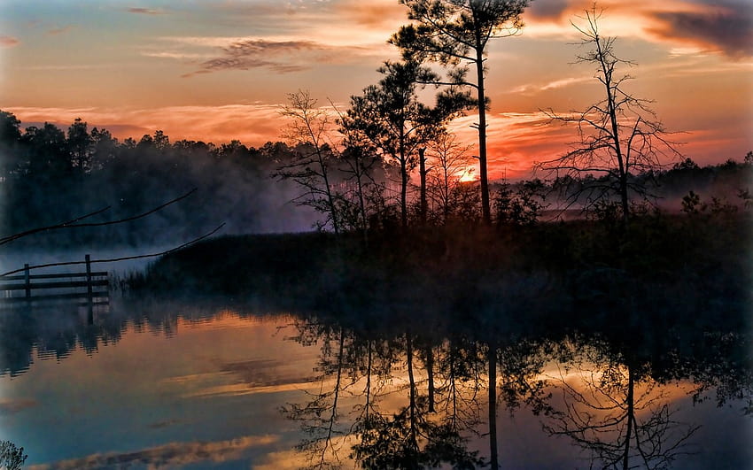 Sonnenaufgang, Nebel, Bäume, Sumpf, Spiegelung, Natur, Landschaft, Florida, Himmel, Wolken, Wasser / und mobile Hintergründe, Florida-Landschaft HD-Hintergrundbild
