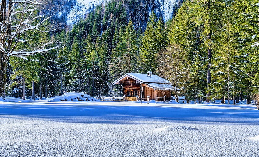 ฤดูหนาว: กระท่อม รั้วสวยงาม หิมะ ไม้ ต้นไม้ ป่าเย็น ฤดูหนาว ป่าฤดูหนาวที่สวยงาม วอลล์เปเปอร์ HD