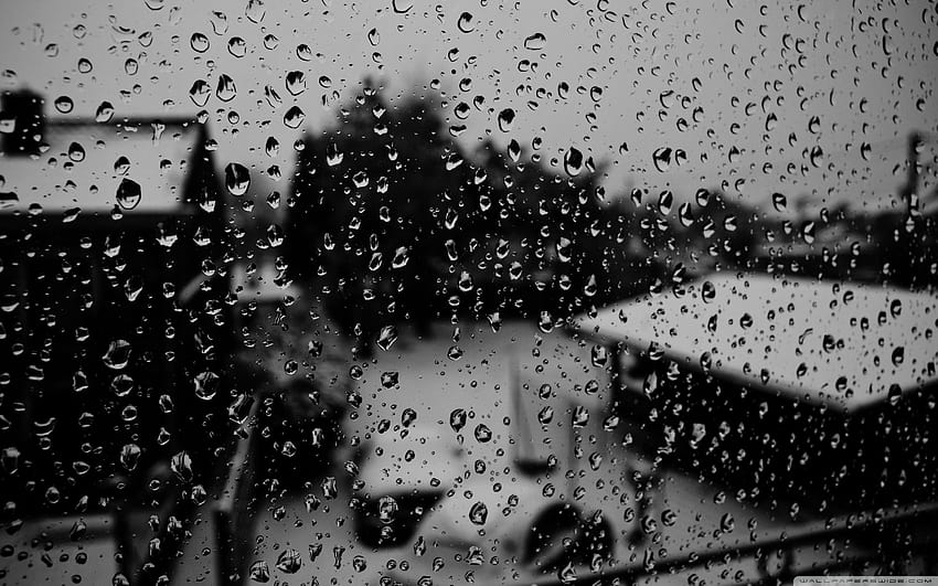 gotas de lluvia, llovizna fondo de pantalla