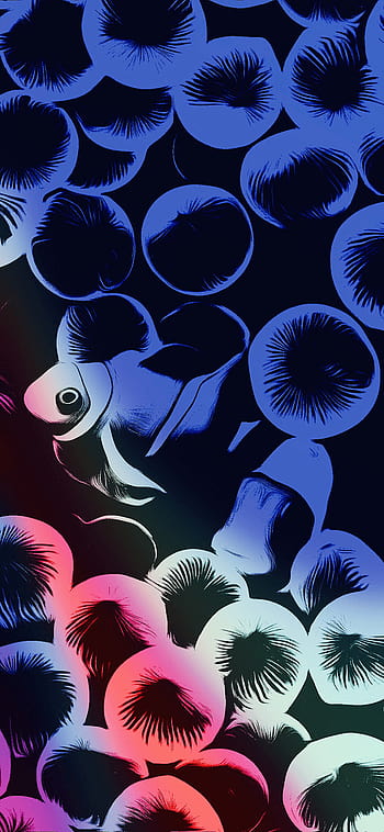 Hình nền cá hoàng đế nhiều màu: Với những hình nền cá hoàng đế nhiều màu sắc độc đáo, bạn sẽ được trải nghiệm một thế giới dưới đại dương đầy màu sắc và sinh động. Khám phá những hình nền cá hoàng đế nhiều màu sắc để cập nhật cho màn hình của bạn những hình ảnh độc đáo và lạ mắt.