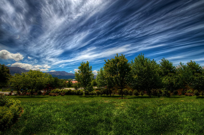 : sky, lines, clouds, trees, grass 5169x3423, tree line HD wallpaper