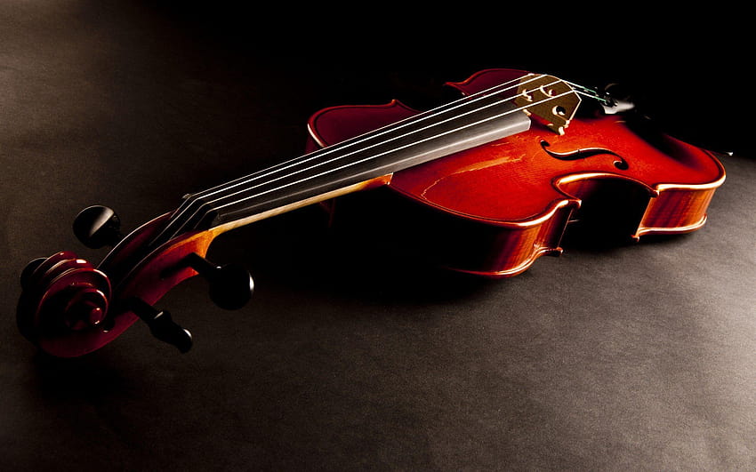 Violin HD wallpaper