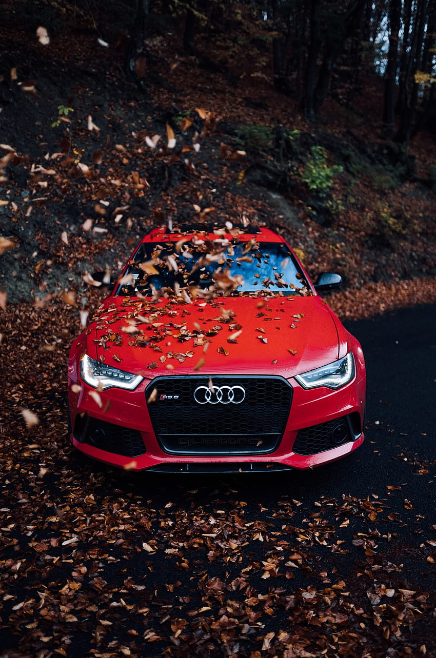 czerwony samochód Audi z suszonymi liśćmi nad maską – Samochód Tapeta na telefon HD