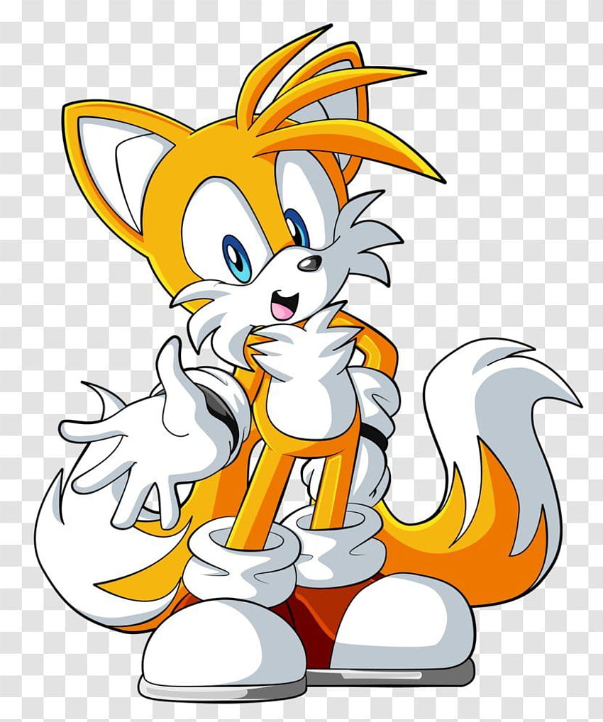 Tails Red Fox Sonic Chaos The Hedgehog, cute fox and hedgehog HD phone wallpaper