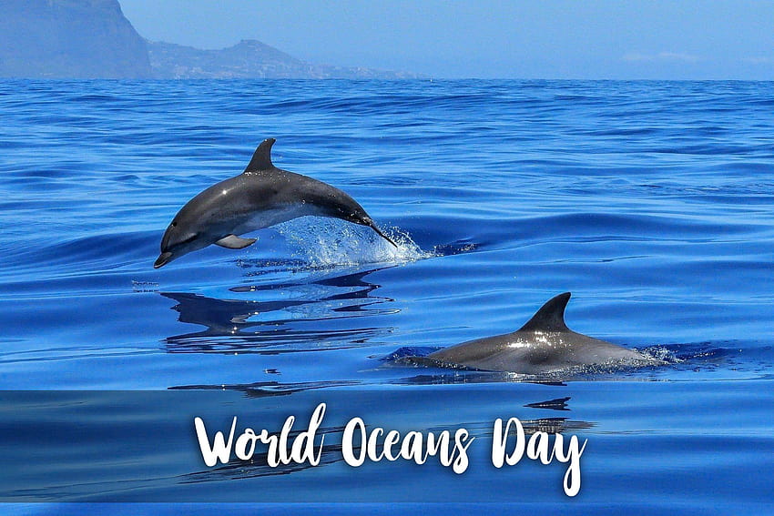 Happy World Oceans Day Our Ocean Our Future HD wallpaper