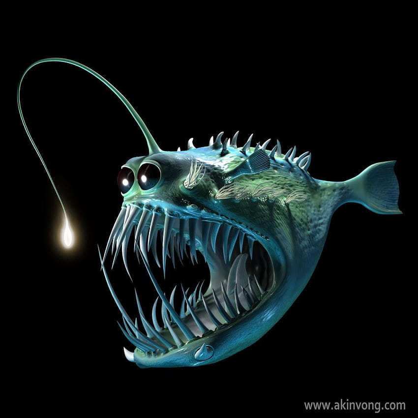 Best Animals : Angler Fish, 625606, Animals, anglerfish HD phone wallpaper