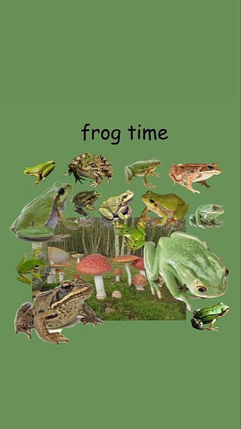Aesthetic Frog Collage Wallpapers  Wallpaper Cave