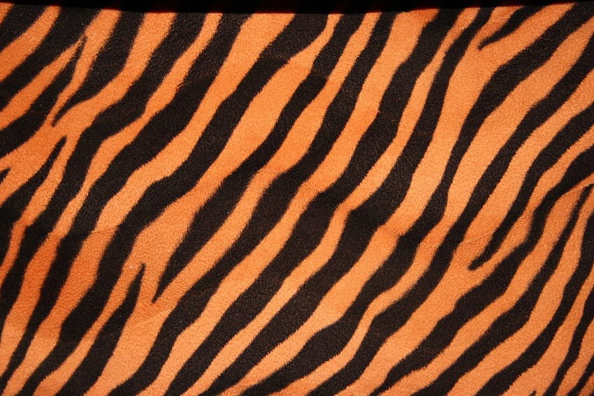Tiger Print HD wallpaper | Pxfuel