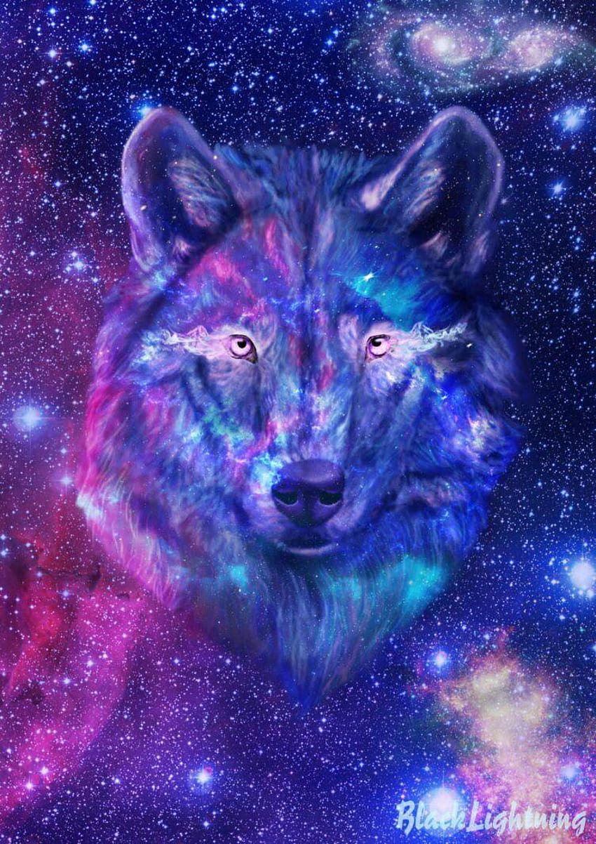 Look everywhere! A wolf lives in everything !!!!!!, cool anime galaxy HD phone wallpaper