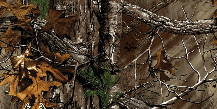 Camo de caça, camuflagem de árvore papel de parede HD