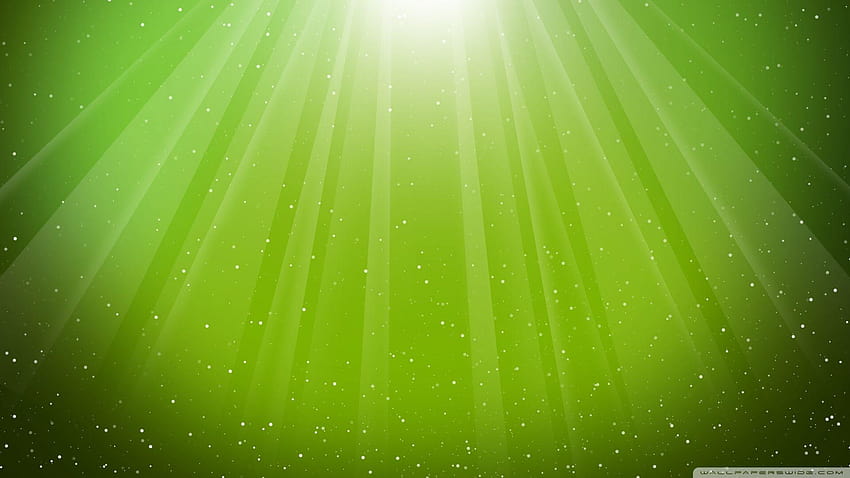 Vert citron, arrière-plan hijau haute résolution Fond d'écran HD