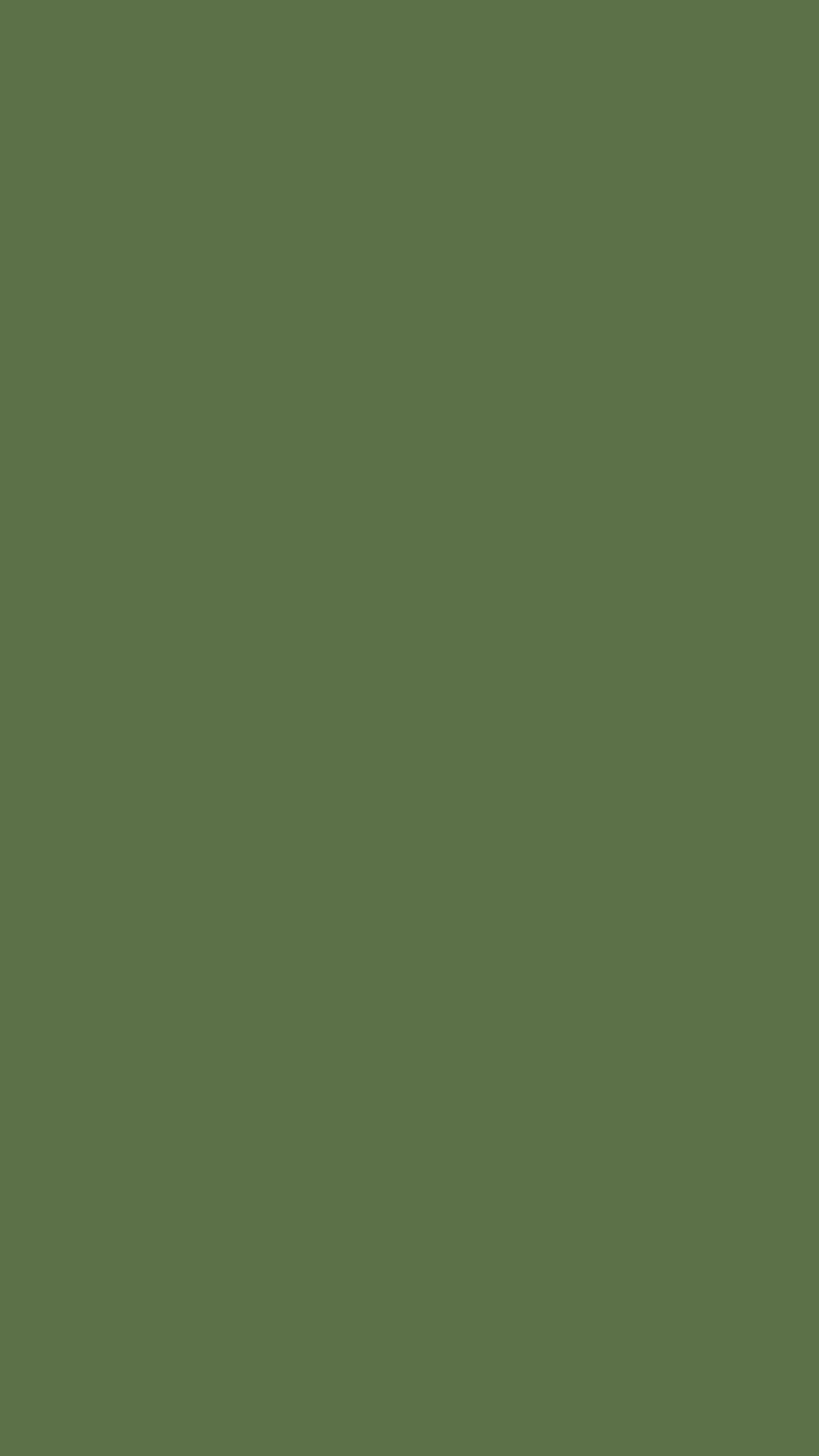 iPhone floral vert olive, iphone esthétique vert Fond d'écran de téléphone HD