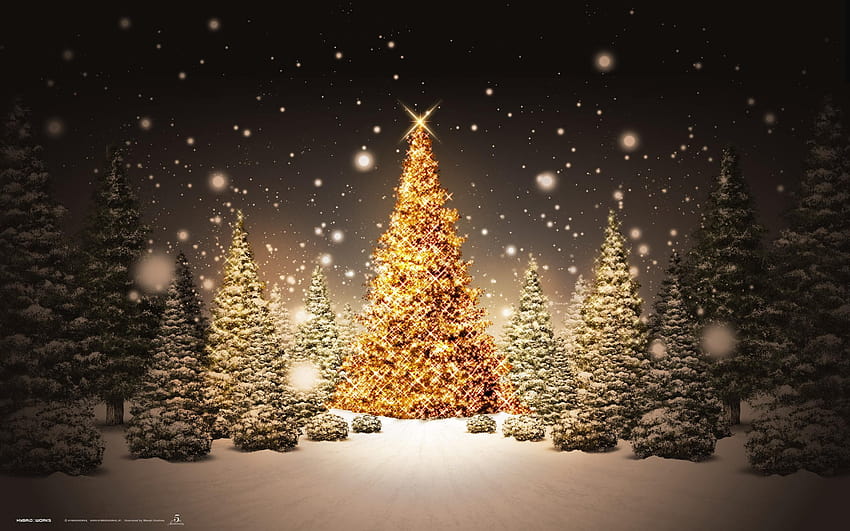 The Magic Christmas Tree , magical christmas HD wallpaper | Pxfuel