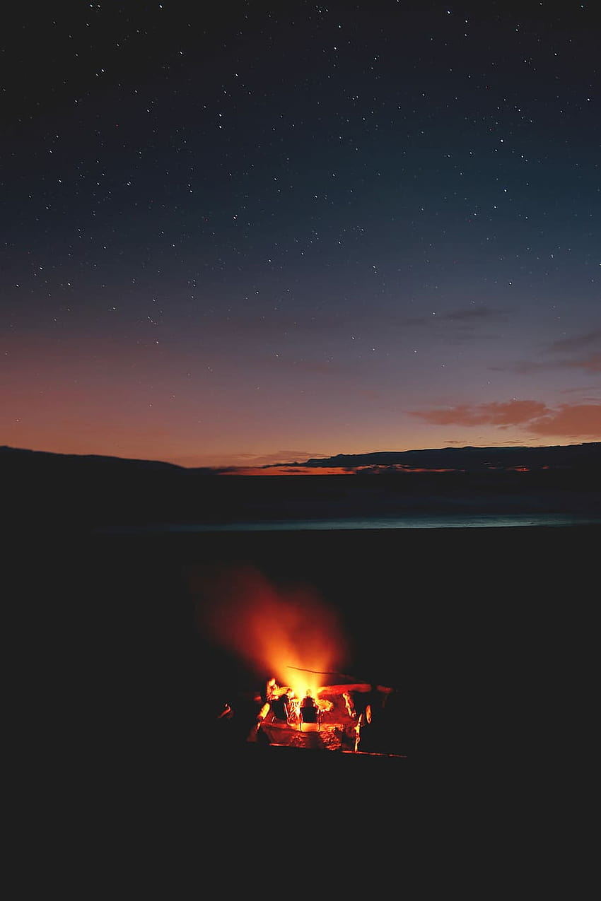 : bosque con fuego bajo el cielo negro, hoguera, campamento en la playa fondo de pantalla del teléfono