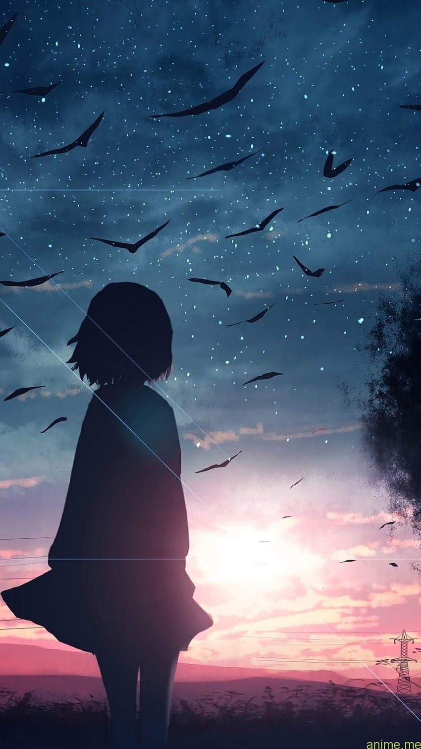 Falling Starry Sky Anime Man Woman Nighttime Anime Girl, HD wallpaper |  Peakpx