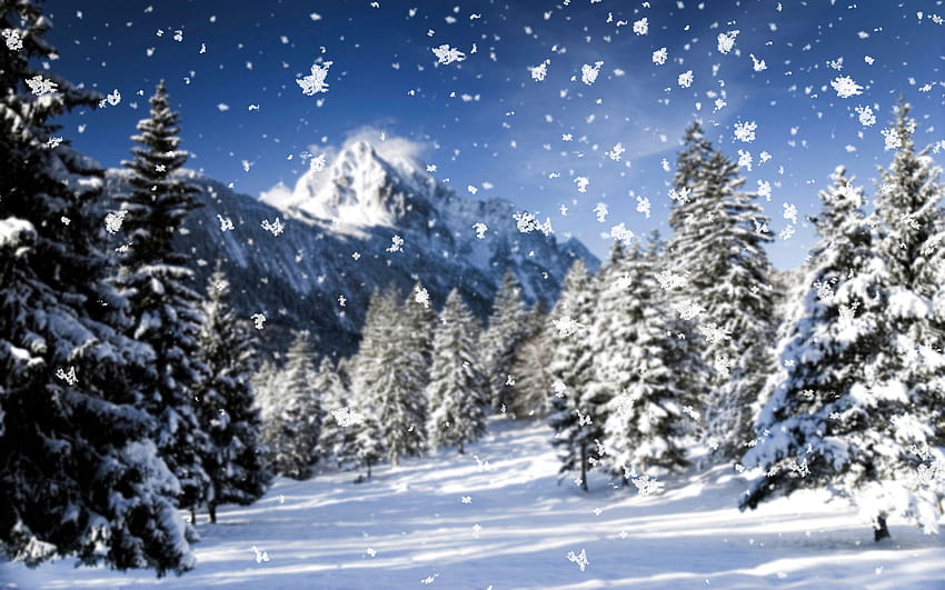 Winter Nature Mountains Snow Seasons 2560x1600 ธรรมชาติที่เต็มไปด้วยหิมะ วอลล์เปเปอร์ HD
