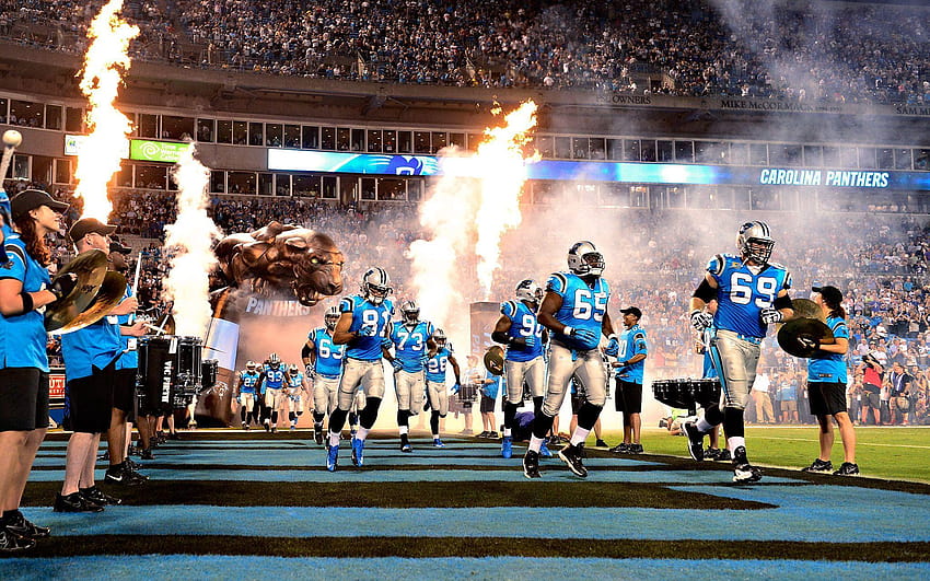 NFL Zone: Carolina Panthers Panthers Logo 2048, nfl carolina panthers HD wallpaper
