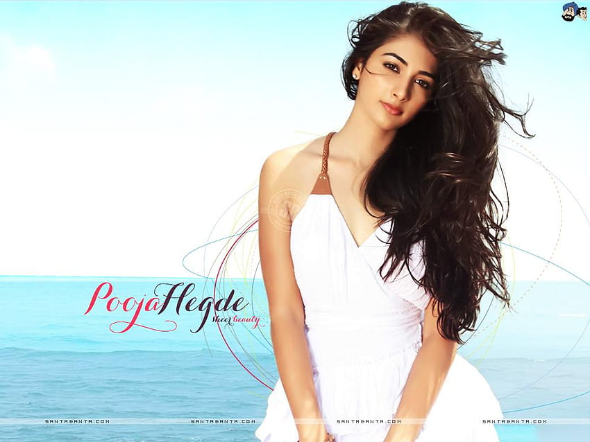Hot Bollywood Heroines & Actresses I Indian Models, pooja hegde HD wallpaper