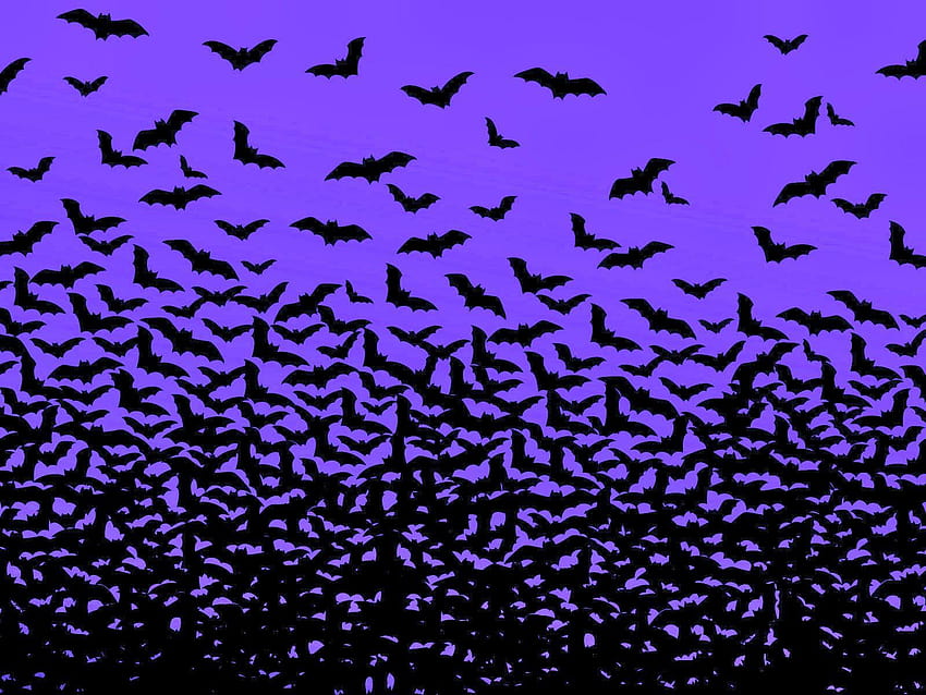 ハロウィーン バット – お祭り、コウモリ 高画質の壁紙