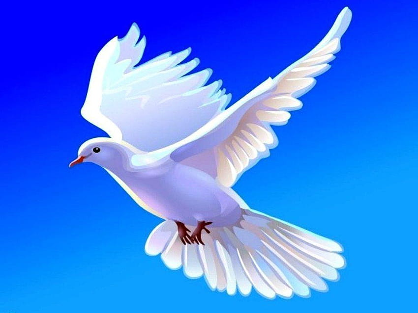 Dove Flying For PC Computer, dove with heart HD wallpaper