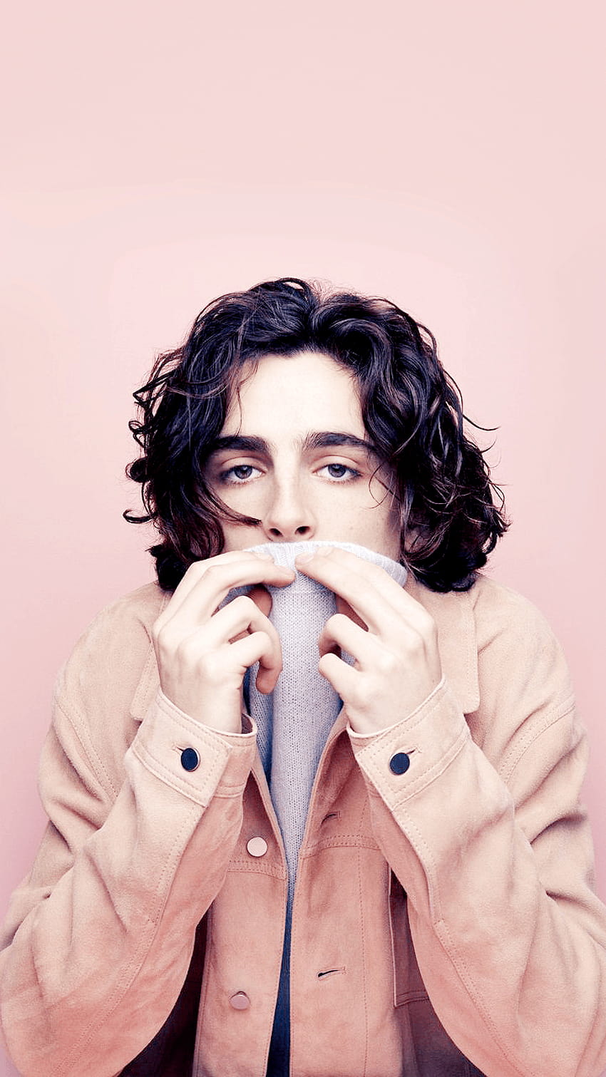 Timothee Chalamet Aesthetic Peach Related Keywords, aesthetic timothee chalamet HD phone wallpaper