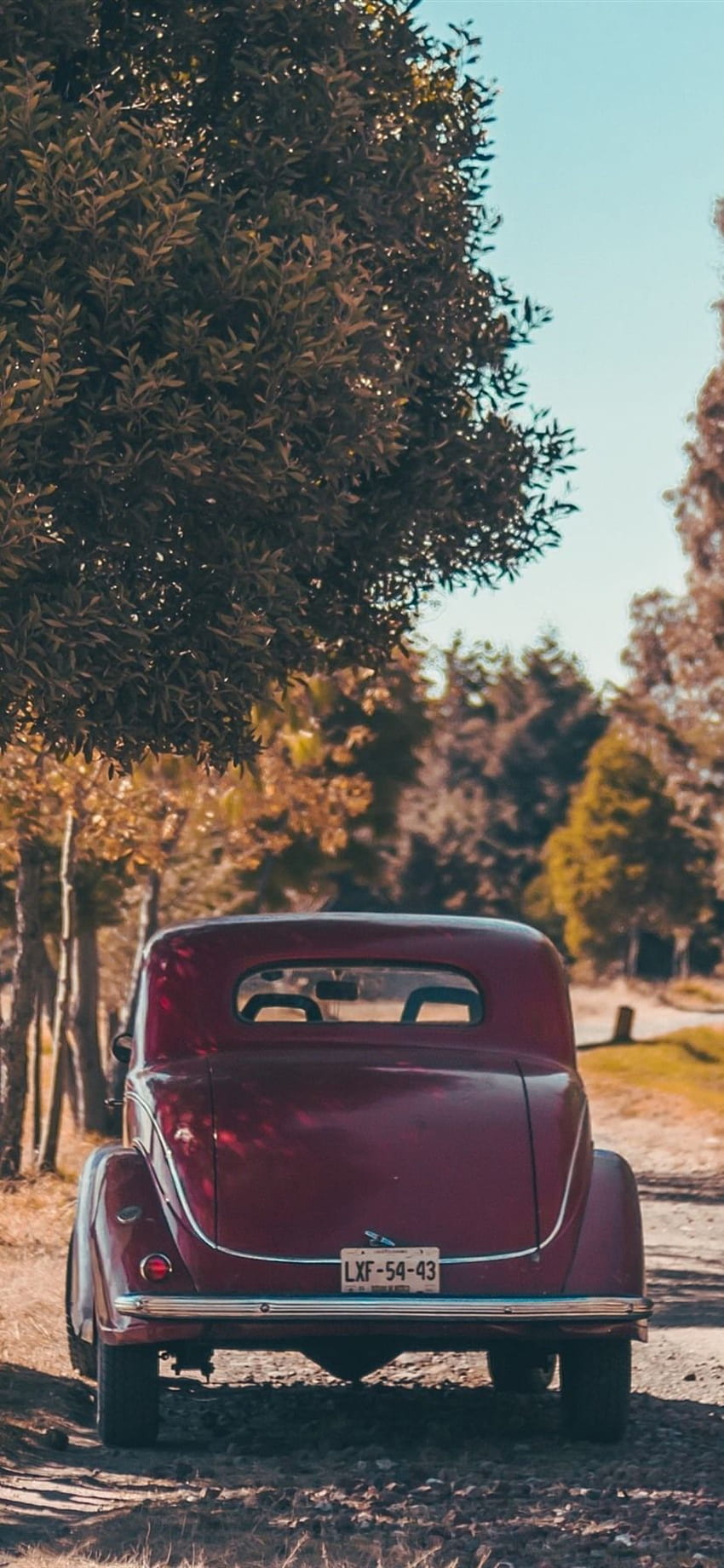 Red retro car rear view, man, trees, autumn 1080x1920 iPhone 8/7/6, vintage iphone 11 HD phone wallpaper