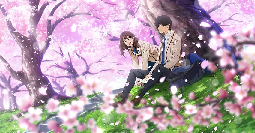 I Want to Eat Your Pancreas streaming online, anime i want to eat your pancreas HD wallpaper