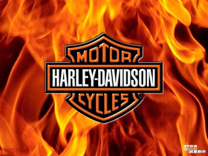 3d harley davidson HD wallpaper