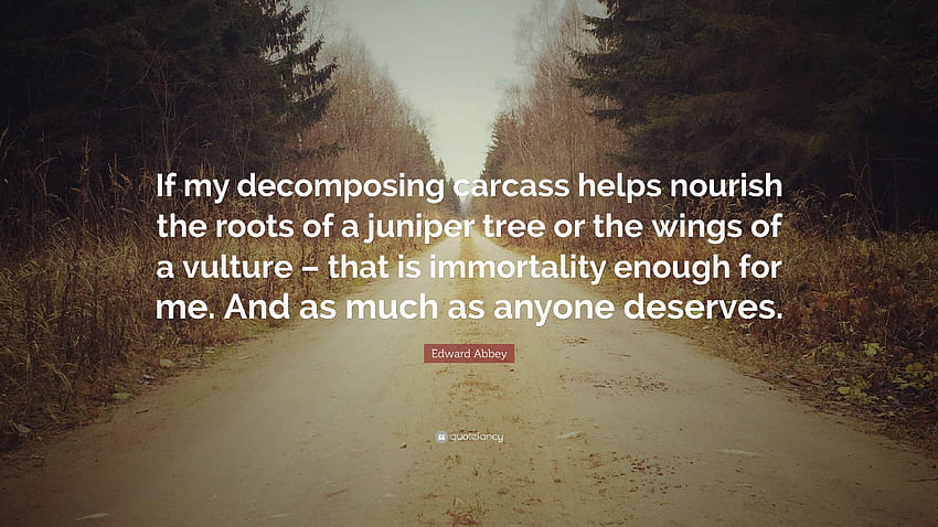 Edward Abbey Quote: “If my decomposing carcass helps nourish the HD wallpaper
