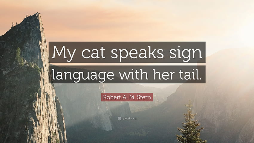 Citation de Robert A. M. Stern : Mon chat parle la langue des signes avec elle Fond d'écran HD