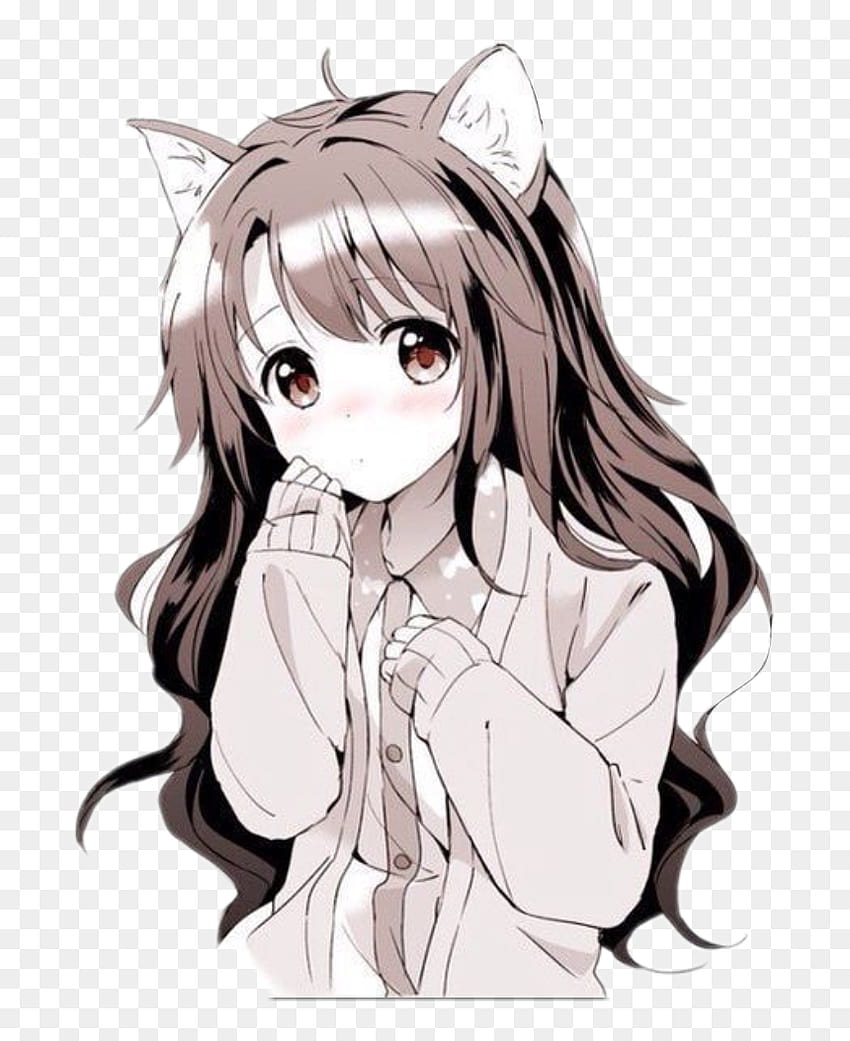 Shy Anime Cat Girl, Png HD phone wallpaper