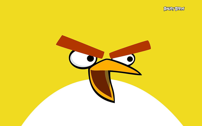Sarı Kızgın Kuşlar Çizgi Filmi [1600x1000] mobil ve tabletiniz için karikatür kuş HD duvar kağıdı