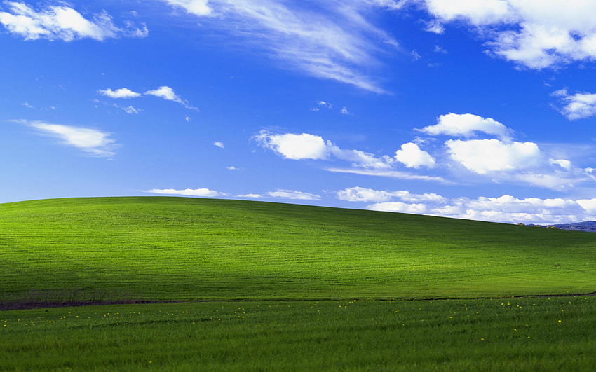 2560x1600 Windows XP Bliss 2560x1600 解像度、背景、および 高画質の壁紙