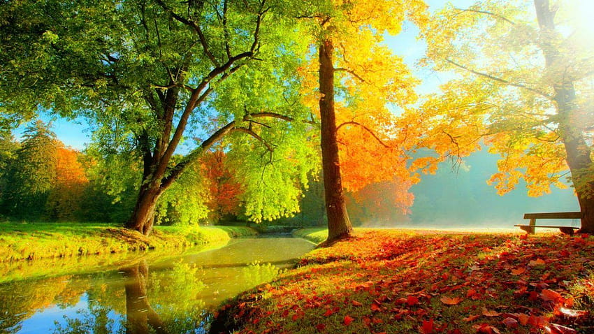 6 Autumn in Italy HD wallpaper | Pxfuel