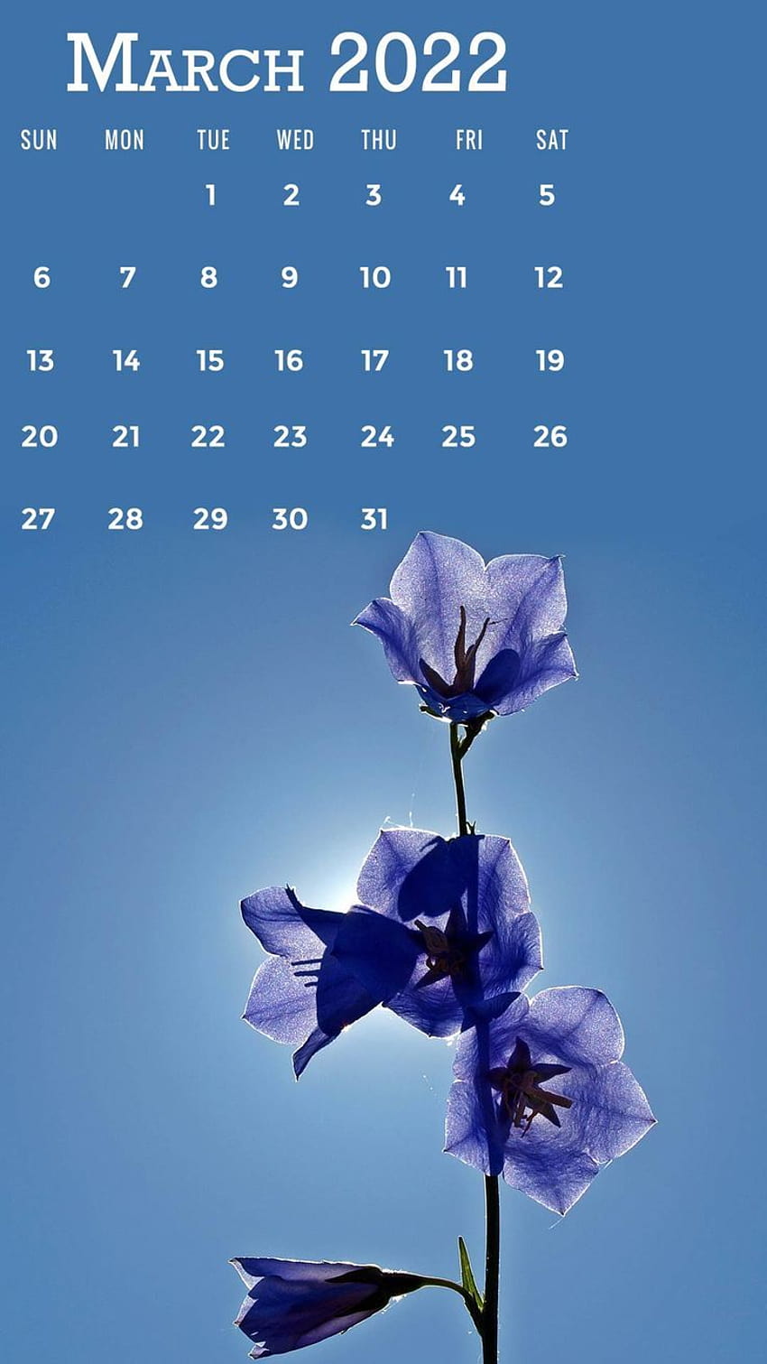 March 2022 Calendar Wallpapers  Wallpaper Cave