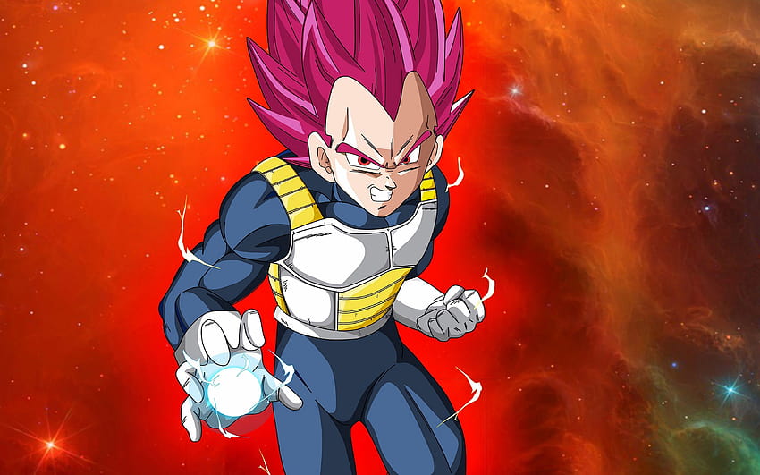 Super Saiyan Vegeta Group, super saiyan god super saiyan HD wallpaper