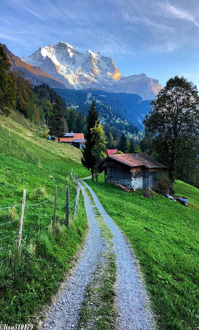 スイス、スイスの自然 HD電話の壁紙