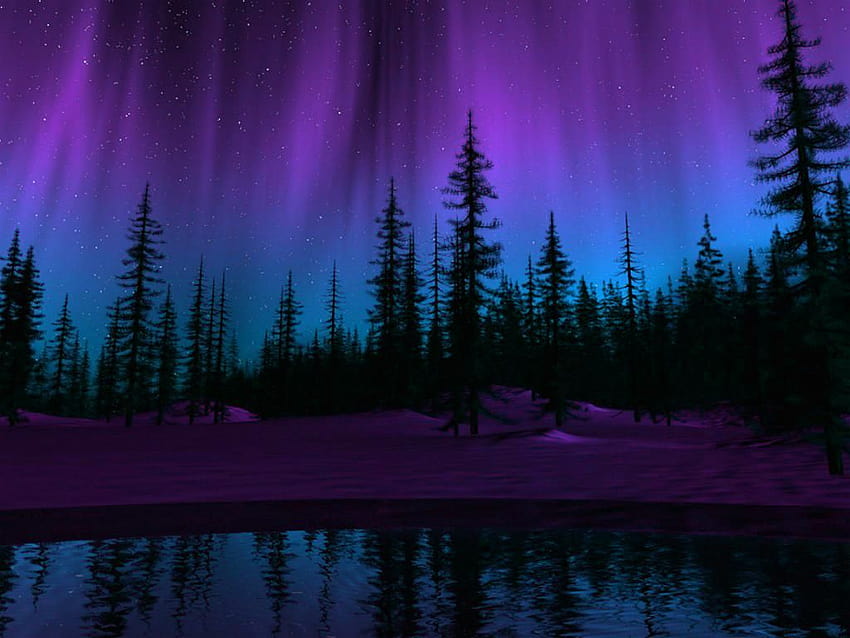 Aurora boreale viola sul cane Sfondo HD