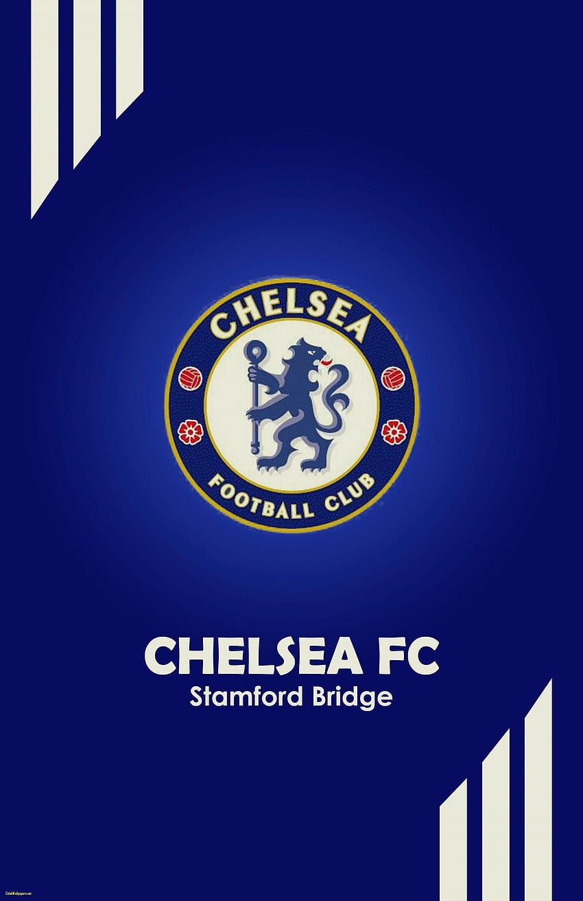 Chelsea New Chelsea Fc, fc chelsea HD phone wallpaper | Pxfuel