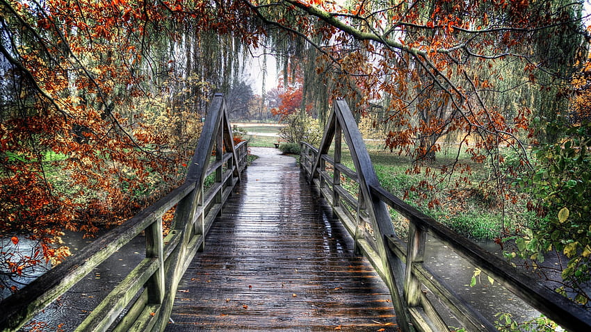 Lovely Wooden Bridge Rainy Autumn Day Wood River Trees HD wallpaper