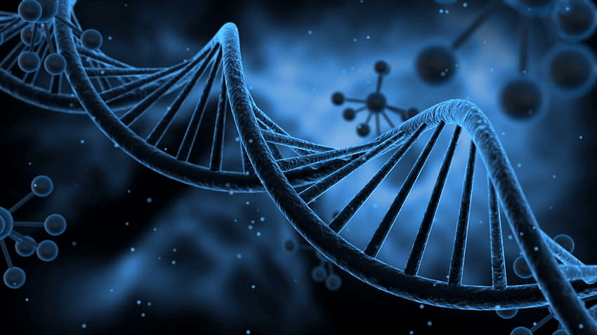 Science fiction wirujące cząsteczki DNA płynne zapętlanie ruchu, tło dna Tapeta HD
