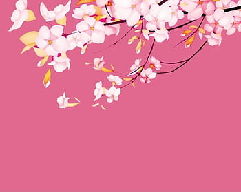 Hoa anh đào (sakura) là biểu tượng của sự nở rộ và sự đẹp đẽ. Bộ sưu tập các hình nền HD với hoa anh đào sẽ mang lại cho bạn không gian sống mới và đầy sức sống. Hãy chiêm ngưỡng vẻ đẹp trên màn hình của bạn ngay hôm nay!