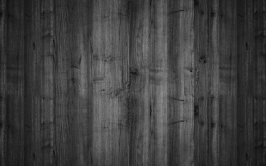 Black and White Woods, aesthetic grain HD wallpaper