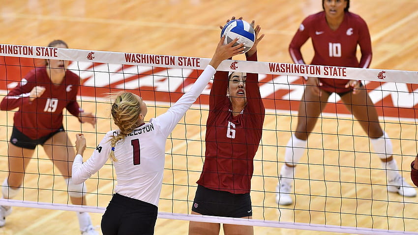 Cougars Volleyball Heads to Midwest for Trio of Matches, washington state volleyball HD wallpaper
