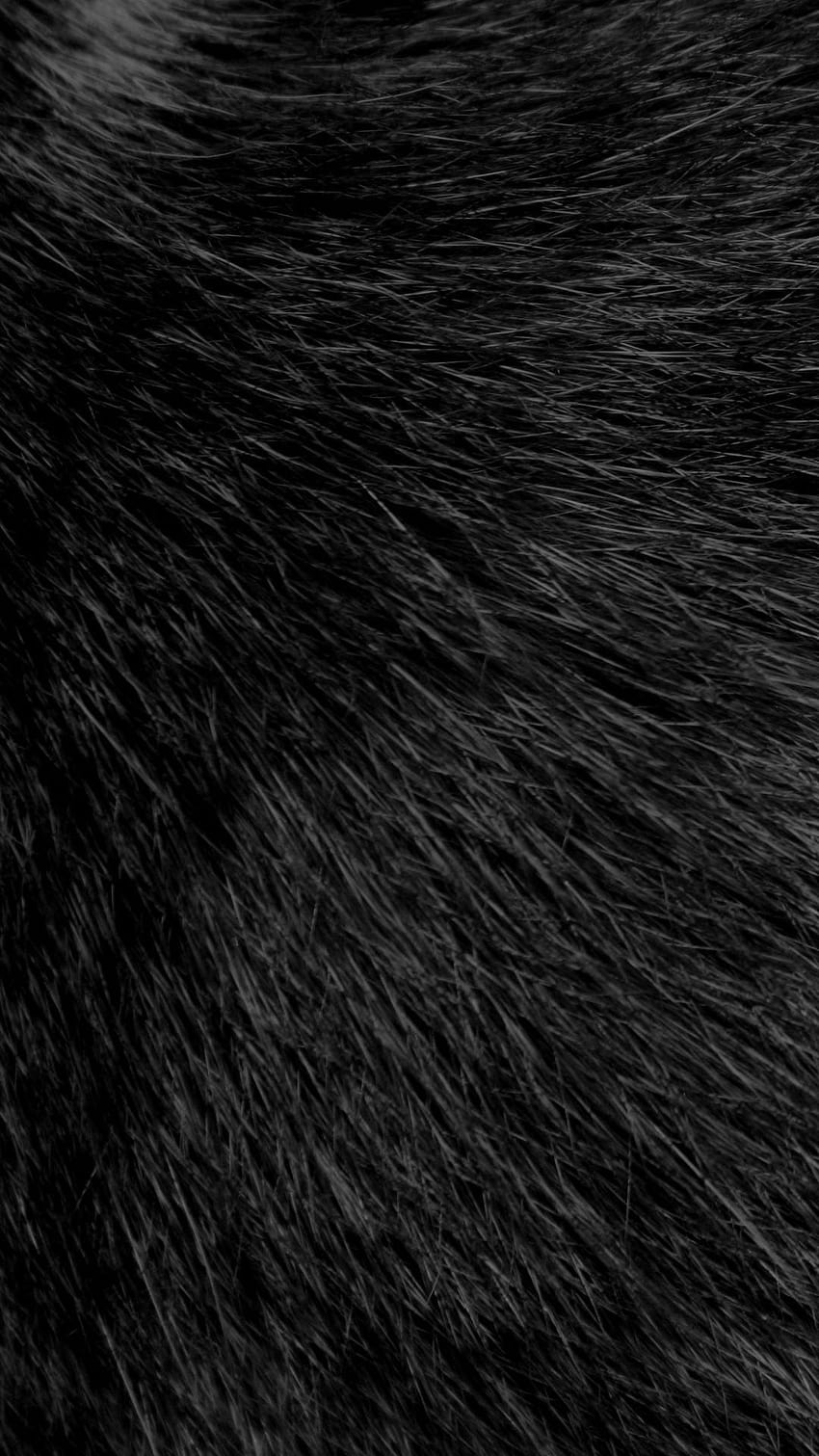 Black Fluffy Fur HD phone wallpaper