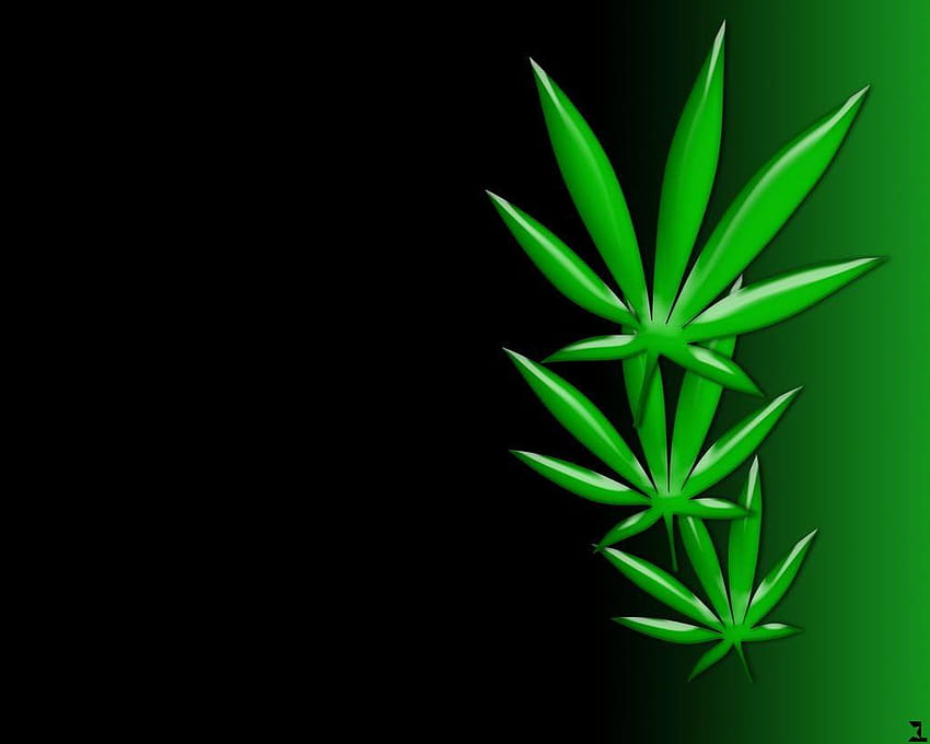 Marihuana Group, liść marihuany Tapeta HD